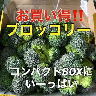 コンパクトBOXでお届け‼️ブロッコリーを箱いっぱいに❗️(野菜)