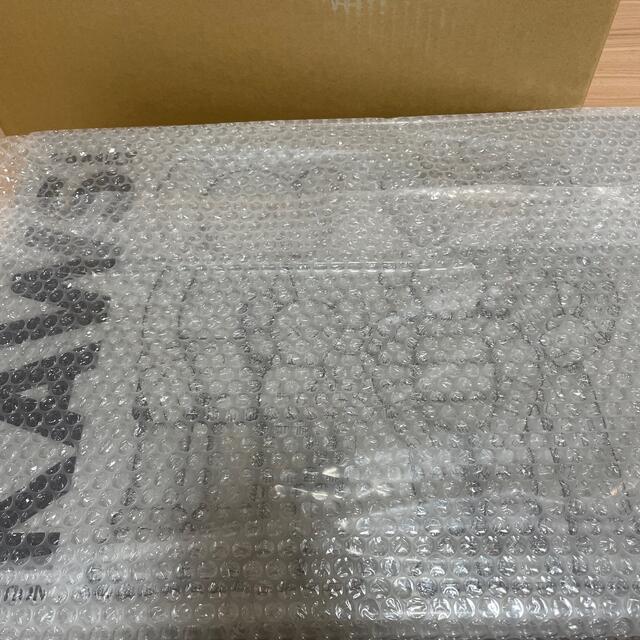 KAWS FAMILY GREY PINK FLUORO