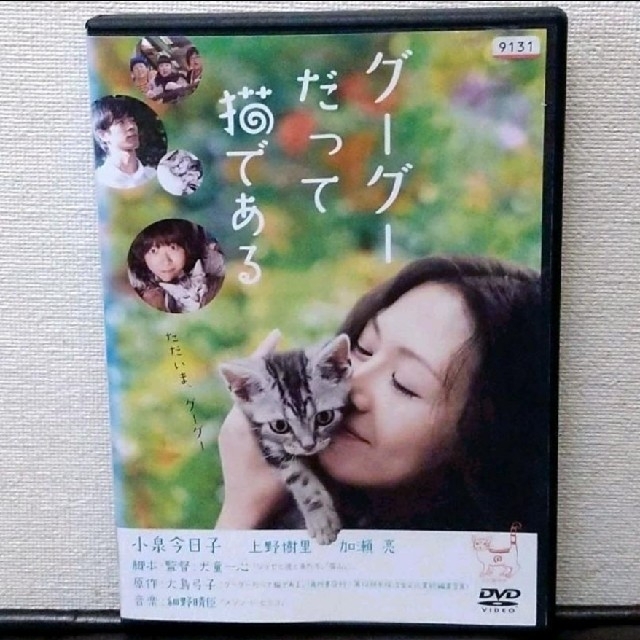 グーグーだって猫である DVD 激安セール 売れ筋ランキング 小泉今日子