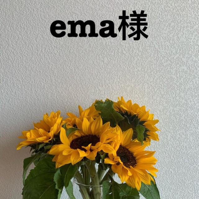 ema様 【在庫処分】 8280円 www.gold-and-wood.com