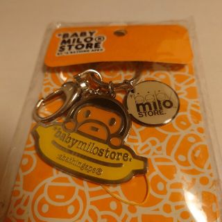 ★BABY MILO®STOREノベルティ(その他)