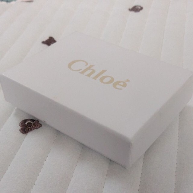 Chloe(クロエ)のChloeクロエ　箱　保存袋 レディースのバッグ(ショップ袋)の商品写真