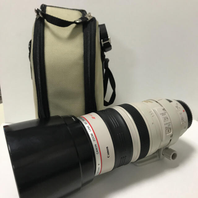 Canon EF 100-400mm F4.5-5.6 L IS USM