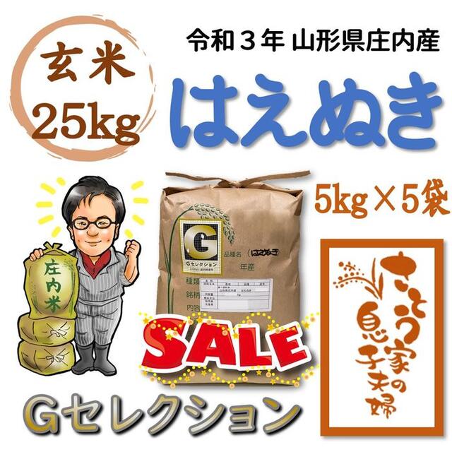 3/31までセール中　令和3年　山形県庄内産　はえぬき　玄米25kg25キロ