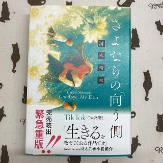 さよならの向う側(文学/小説)