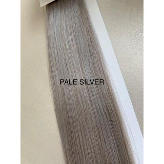 pale silver 10枚(その他)