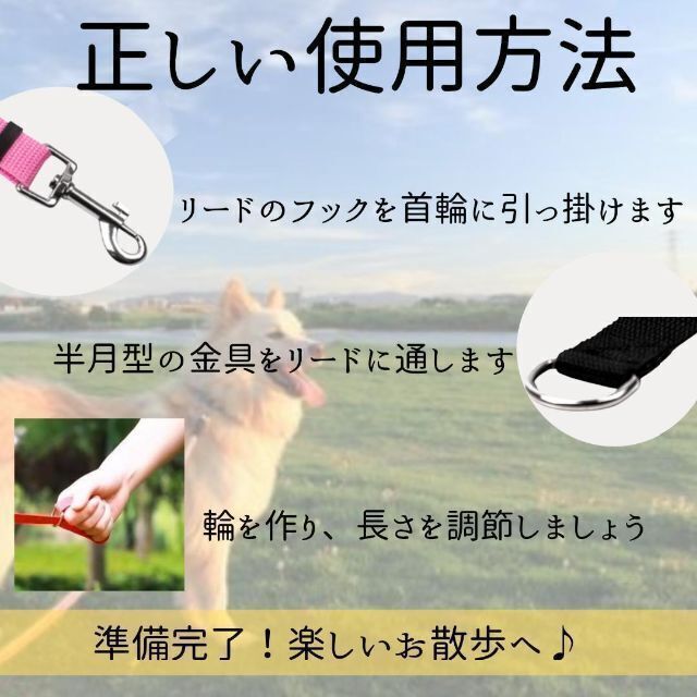 【安心追跡付・最安値】ロングリード 20M 幅2cm定価2,000円 ブルーの通販 by ⚠️現在販売停止中です！！⚠️｜ラクマ