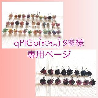 qPIGp(̂•͈⚇•͈⑅)̂ ୭❁⃘様専用ページ(ドライフラワー)