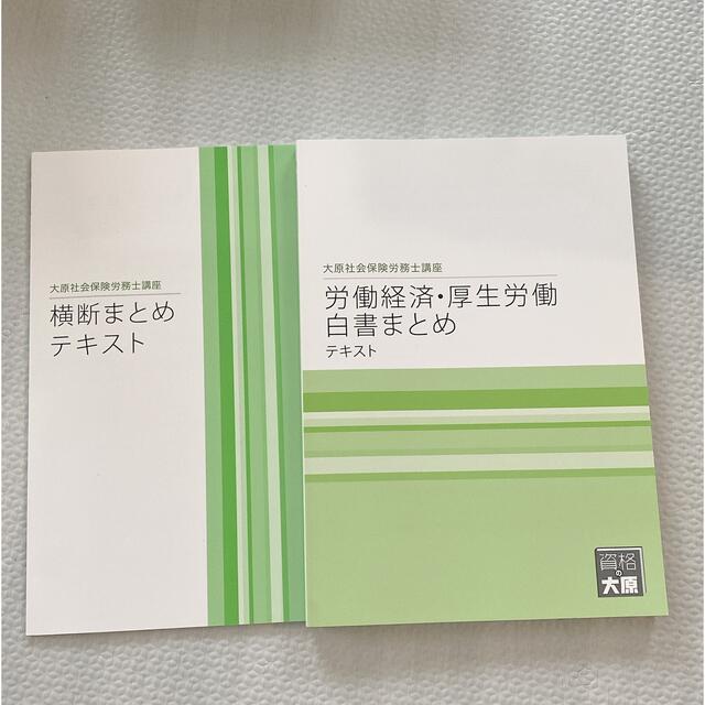 社会保険労務士　労働経済・厚生労働20 エンタメ/ホビーの本(資格/検定)の商品写真