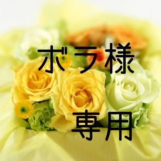 ボラ様専用　お米　令和3年　愛媛県産ヒノヒカリ　玄米　30㎏(米/穀物)