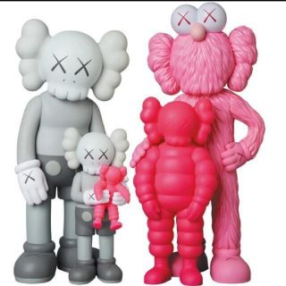 KAWS FAMILY GREY PINK FLUORO PINK(その他)