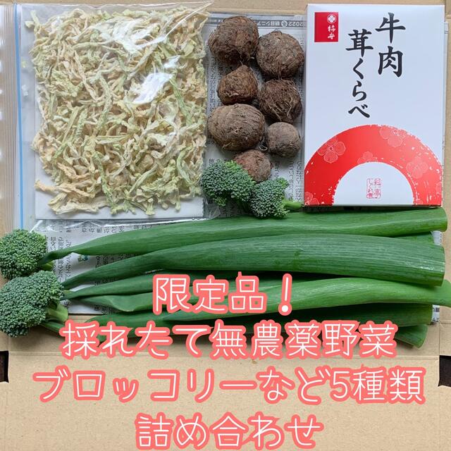 限定品！採れたて無農薬野菜＊ブロッコリーなど5種類の詰め合わせ＊野菜セット＊ 食品/飲料/酒の食品(野菜)の商品写真