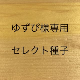 ゆずぴ様専用　セレクト種子　4袋(野菜)