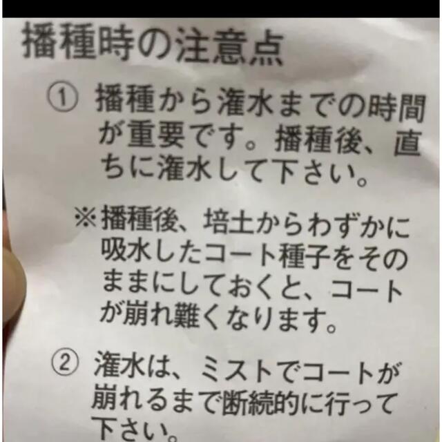 トルコキキョウ　ユーストマ　種　ボヤージュブルー　30粒 ハンドメイドのフラワー/ガーデン(その他)の商品写真