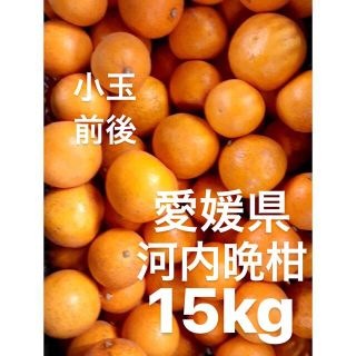 愛媛県産　河内晩柑　宇和ゴールド　柑橘　ジュース用　15kg(フルーツ)