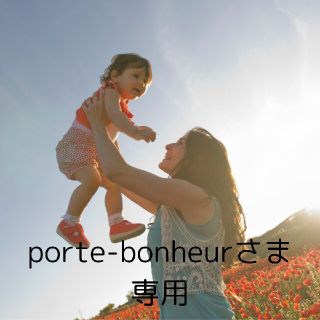 porte-bonheurさま専用(枕)