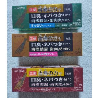 サンスター(SUNSTAR)の生薬 当帰の力 歯磨き粉 サンスター 3本セット(歯磨き粉)