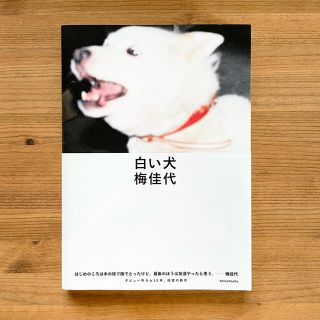 梅佳代さん写真集『白い犬』(アート/エンタメ)