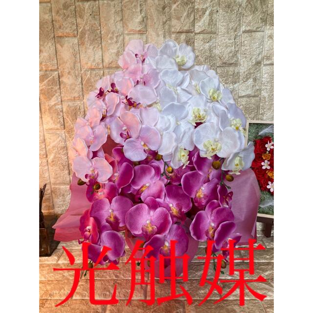最安値挑戦! 光触媒 人工観葉植物 ウォールグリーン フェイク