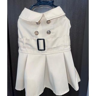 小型犬　トレンチコート　スカート　春服(犬)