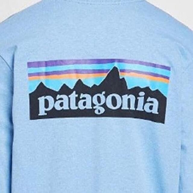 patagonia(パタゴニア)のpatagonia ロンT L LONG-SLEEVED P-6 LOGO 水色 メンズのトップス(Tシャツ/カットソー(七分/長袖))の商品写真