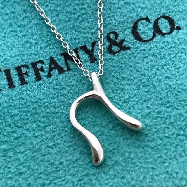 Tiffany イニシャルn ネックレス 希少 1