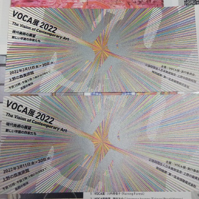 VOCA展2022「現代美術の展望─新しい平面の作家たち─」チケット２枚 チケットの演劇/芸能(その他)の商品写真