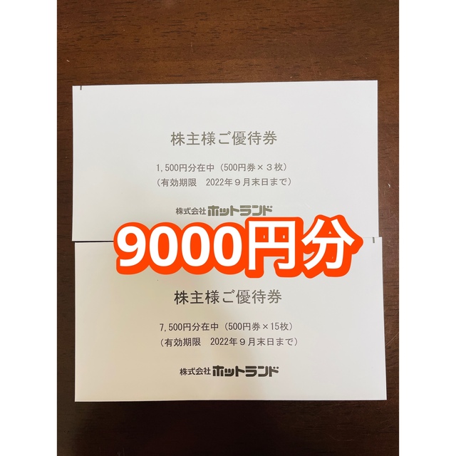 ホットランド 株主優待券 9000円分 銀だこ たこ焼き | cmamazonas.com.br