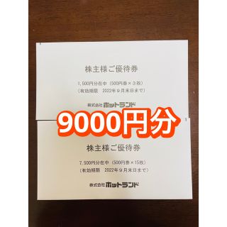 ホットランド 株主優待券 9000円分 銀だこ たこ焼き(フード/ドリンク券)