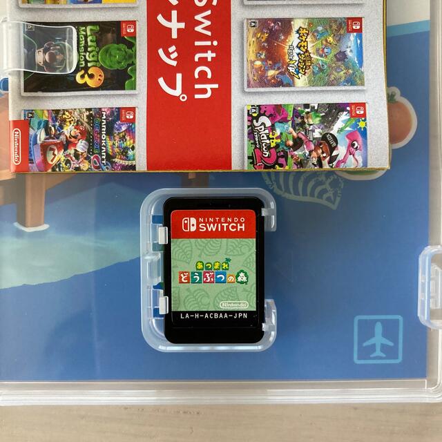 あつまれ どうぶつの森 Switch 3