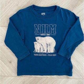 ユニクロ(UNIQLO)の100 長袖Tシャツ　(Tシャツ/カットソー)