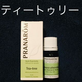 プラナロム(PRANAROM)の【がおるさん専用】プラナロム　ティートゥリー10ml✕2(エッセンシャルオイル（精油）)