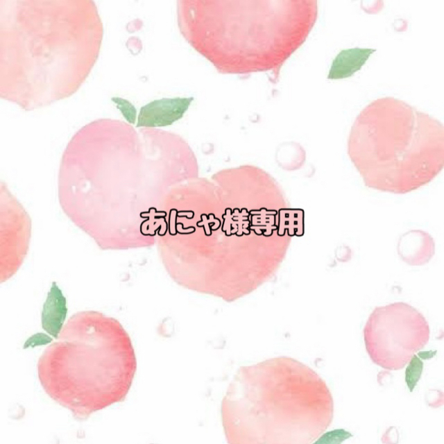 あにゃ様専用 3 (30) 宅配 72.0%OFF lesnomadesques.com