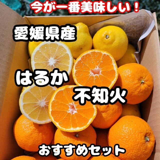 最大99%オフ! みかん様専用ビジューセット overdekook.com