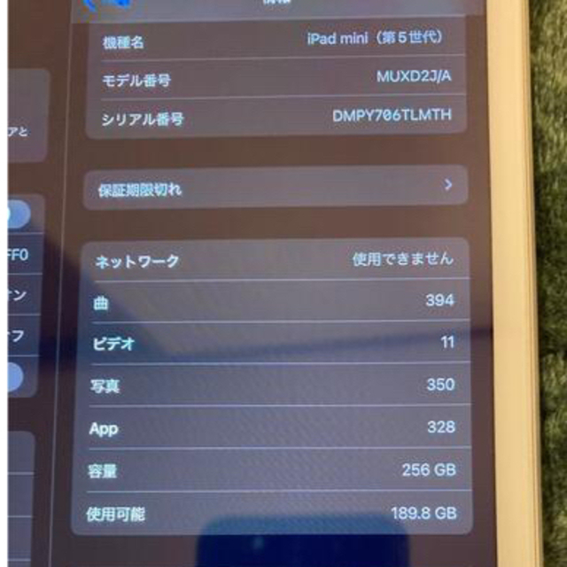 iPad mini 5 wifi cellular 256GB Silver 4