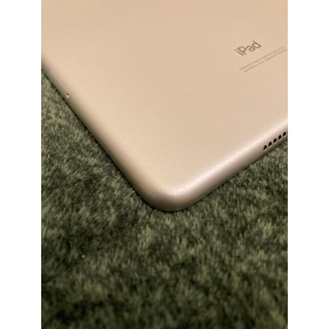 iPad mini 5 wifi cellular 256GB Silver 8