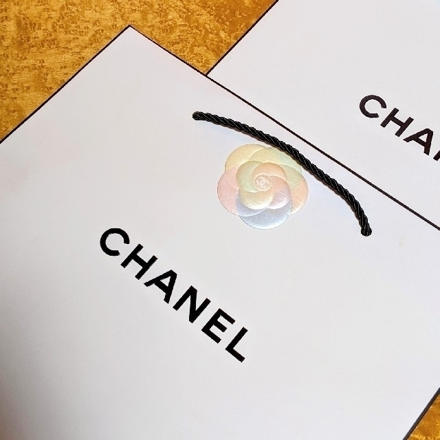 CHANEL(シャネル)のシャネル ハンガー♥美品シャネルショッパーなど付き！ インテリア/住まい/日用品の収納家具(押し入れ収納/ハンガー)の商品写真