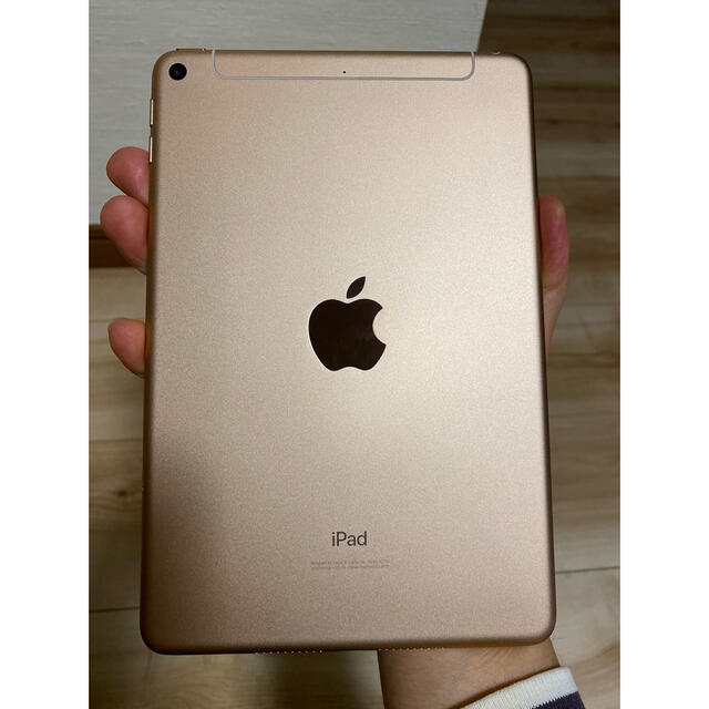 iPadmini5 64G Gold セルラー simﾌﾘｰ 美品おまけ付 5