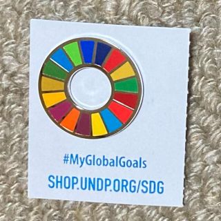 SDGS ピンバッチ(バッジ/ピンバッジ)