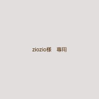 ziozio様　専用ページです(その他)