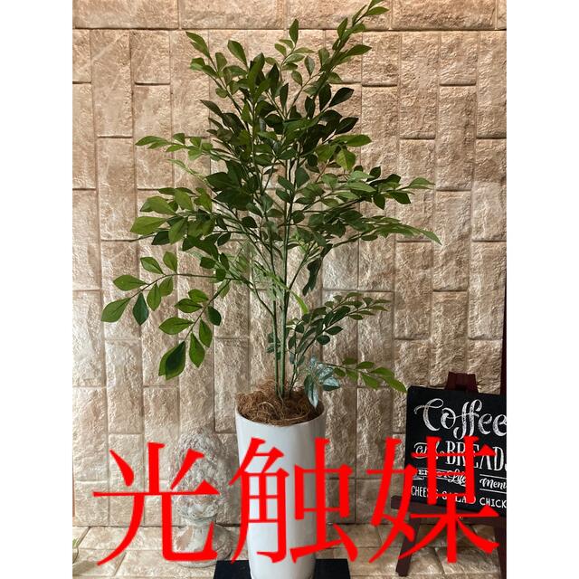 光触媒 人工観葉植物 ウォールグリーン フェイク フラワー ユーカリ160-