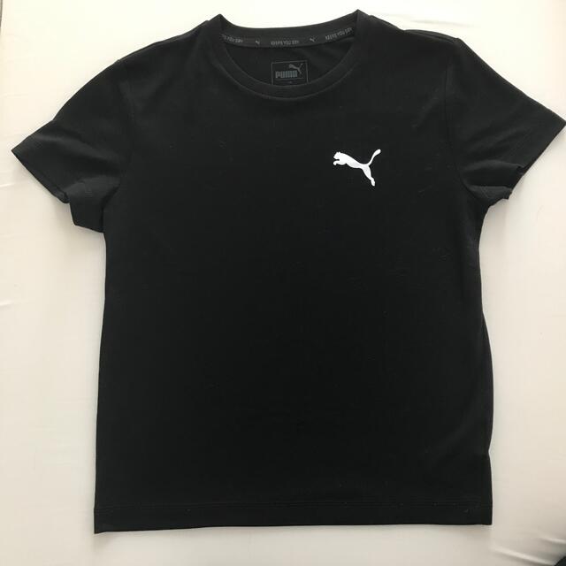 PUMA(プーマ)のTシャツ&半ズボン 140 キッズ/ベビー/マタニティのキッズ服男の子用(90cm~)(Tシャツ/カットソー)の商品写真