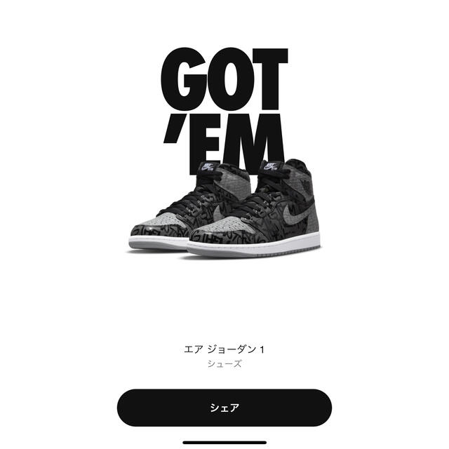 NIKE(ナイキ)のナイキ エアジョーダン1 ハイ OG "リベリオネア" メンズの靴/シューズ(スニーカー)の商品写真