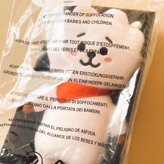 ビーティーイシビル(BT21)の【公式】最終値下げ！BT21スタンディングドールRJ ヨーロッパ限定　ぬいぐるみ(ぬいぐるみ)