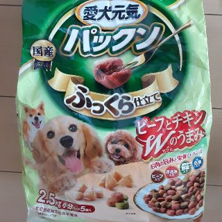 愛犬元気パックンビ－フチキン500グラム1袋(ペットフード)