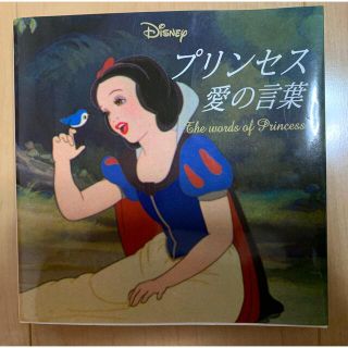 Ｄｉｓｎｅｙプリンセス愛の言葉(アート/エンタメ)