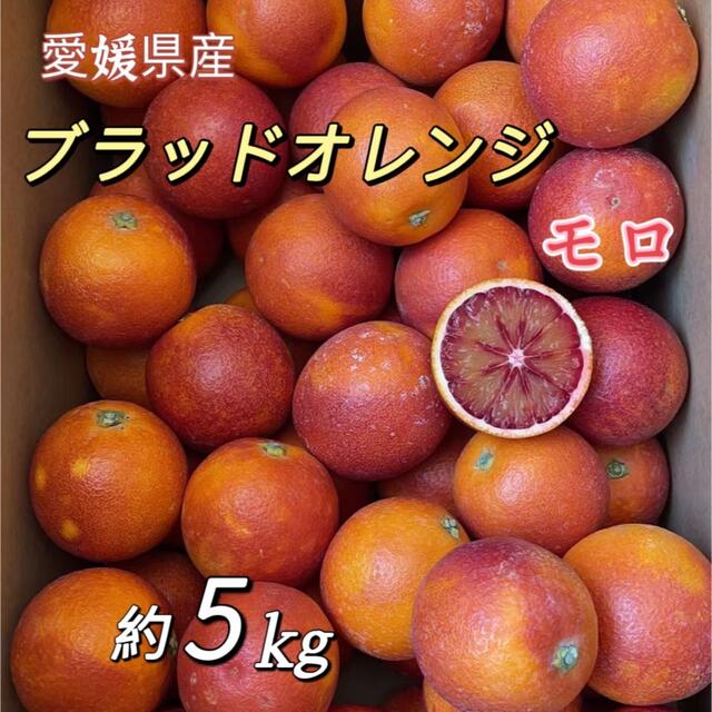 ブラッドオレンジ　愛媛県産　M~Lサイズ　箱含む5kg  モロオレンジ　柑橘 食品/飲料/酒の食品(フルーツ)の商品写真