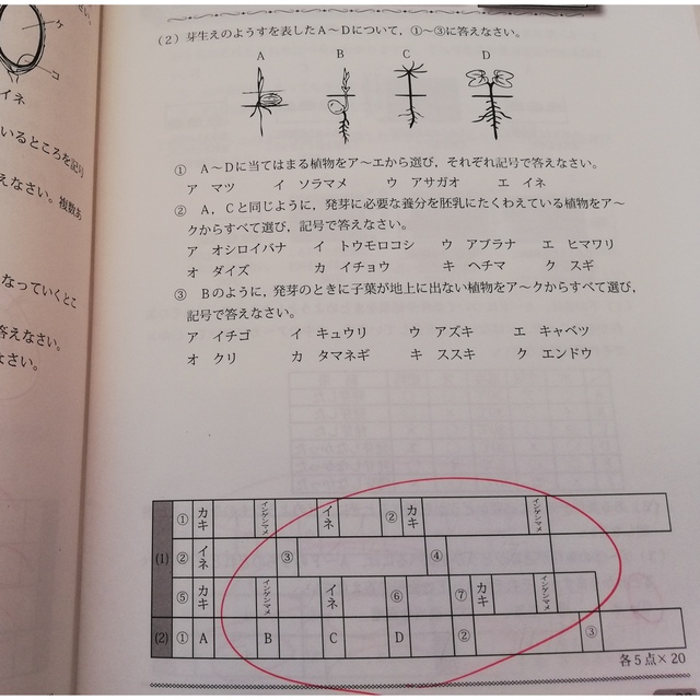 グノーブル 理科 GNOラーニング ベーシック 基礎力テスト 算数基礎力 ...