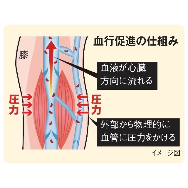 MediQttO(メディキュット)のメディキュット　メディカルハイソックス(Lサイズ) レディースのレッグウェア(ソックス)の商品写真