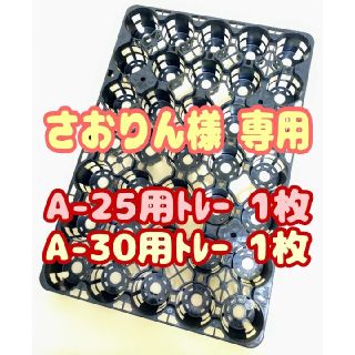 プラ鉢2.5号A-25・3号A-30トレー各1枚 スリット鉢 プレステラ 多肉(プランター)